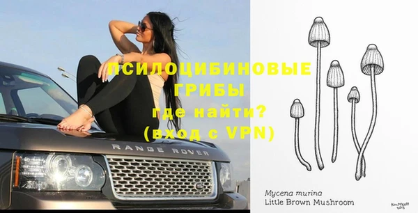 марки nbome Алексеевка
