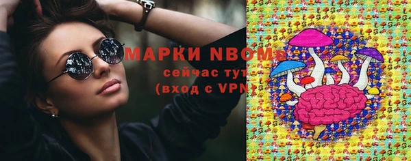 шишки Алексин