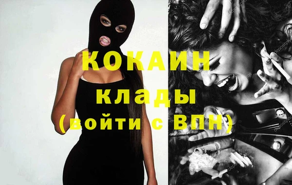 ешки Арсеньев