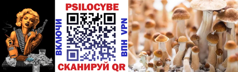 Галлюциногенные грибы Psilocybe Багратионовск